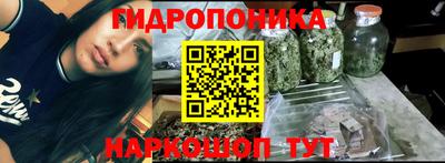 тгк Камышлов